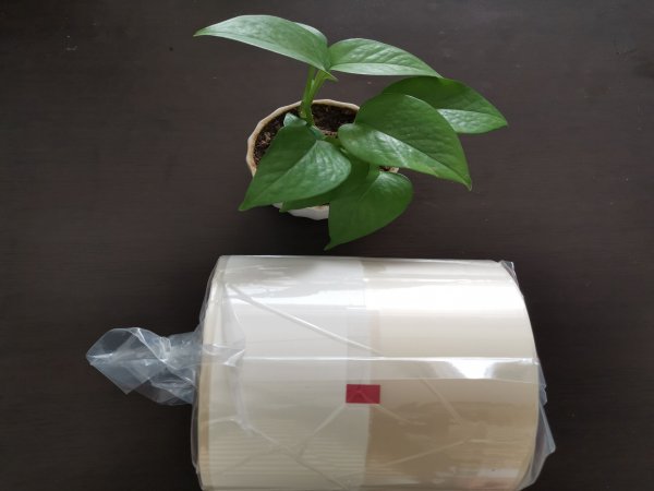 石家庄<b>上胶量对赛璐玢药品包装膜的品质影响分析说明</b>